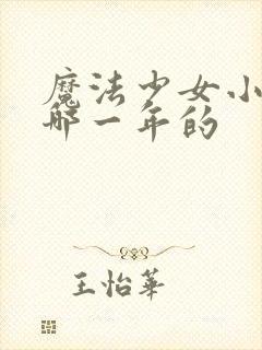 魔法少女小圆是哪一年的