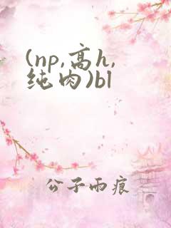 (np,高h,纯肉)bl