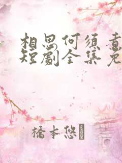 相思何须煮余年短剧全集免费观看