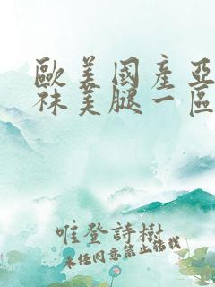 欧美国产亚洲丝袜美腿一区