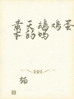 黄天鹅鸡蛋是日本的吗