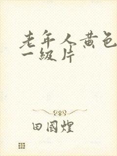 老年人黄色录像一级片