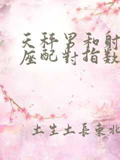 天秤男和射手女座配对指数