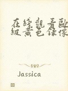 在线观看欧美一级黄色录像