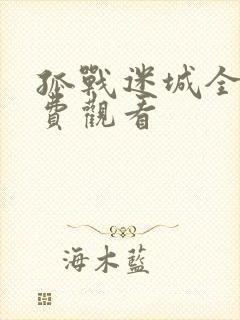 孤战迷城全集免费观看