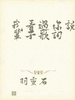 我看过你说好一辈子歌词