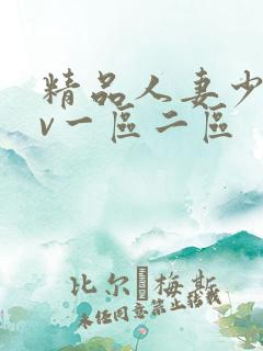 精品人妻少妇av一区二区