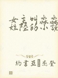 女主叫淼淼男主姓陆的小说