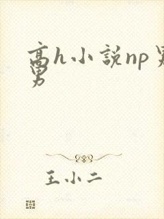 高h小说np男男