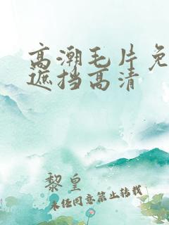 高潮毛片免费无遮挡高清