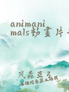 animanimals动画片哪里看