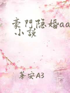 豪门隐婚aa制 小说