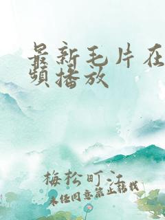 最新毛片在线视频播放