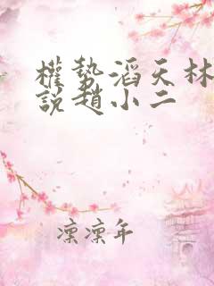 权势滔天林峰小说赵小二