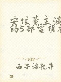 安位薰主演最火的5部电视剧