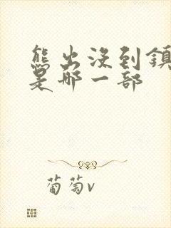 熊出没到镇上的是哪一部