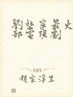 刘些宁最火的5部电视剧