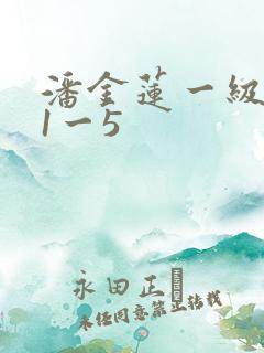 潘金莲一级淫片1一5