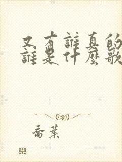 又有谁真的在乎谁是什么歌