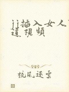 jj插入女人阴道视频