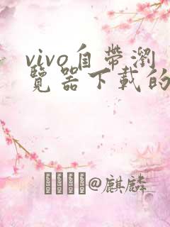 vivo自带浏览器下载的视频在哪个文件夹