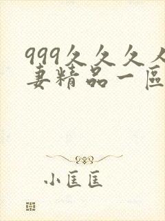 999久久久人妻精品一区