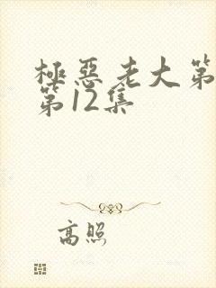 极恶老大第二季第12集