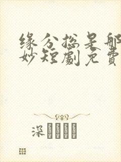 缘分总是那么奇妙短剧免费播放