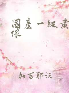 国产一级黄色录像