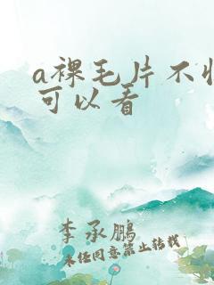 a裸毛片不收费可以看