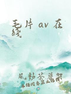 毛片 av 在线
