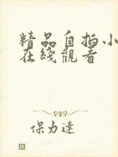 精品自拍小视频在线观看