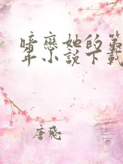 暗恋她的第十一年小说下载