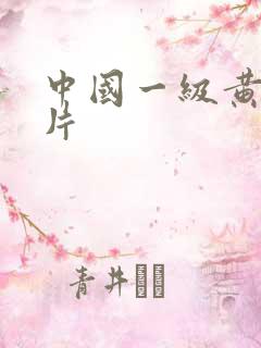 中国一级黄色短片