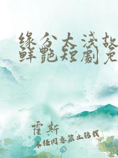 缘分太浅故事太鲜艳短剧免费观看