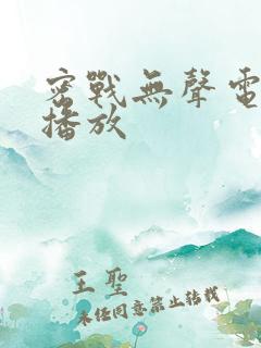 密战无声电视剧播放