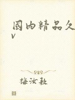 国内精品久久av