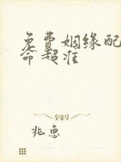 免费姻缘配对算命超准