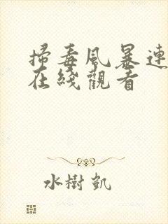 扫毒风暴连续剧在线观看