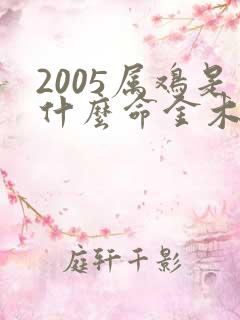 2005属鸡是什么命金木水火土