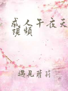 成人午夜天在线视频