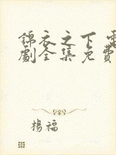 锦衣之下 电视剧全集免费观看完整版