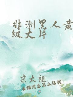 非洲黑人黄色一级大片