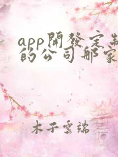 app开发定制的公司那家好