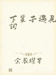 下辈子遇见你歌词