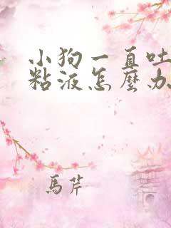 小狗一直吐白色粘液怎么办