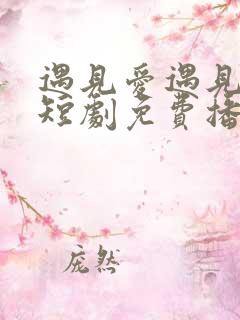 遇见爱遇见幸福短剧免费播放全集