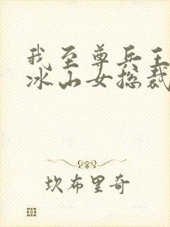 我至尊兵王闪婚冰山女总裁