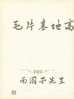 毛片基地高清