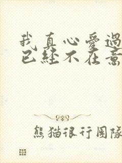 我真心爱过你你已经不在意是什么歌